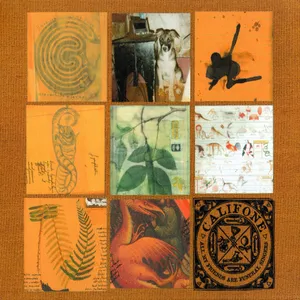 All my friends are funeral singers